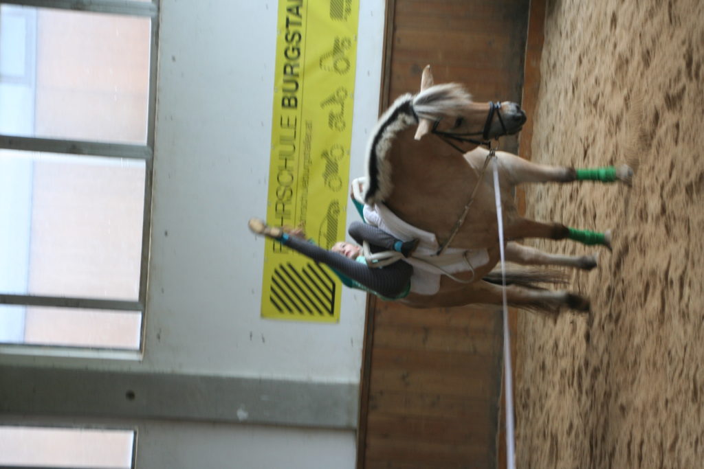voltis 5 pferd - Sportunion Voltigier- und Reitverein Braunau